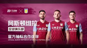 组织中扮演