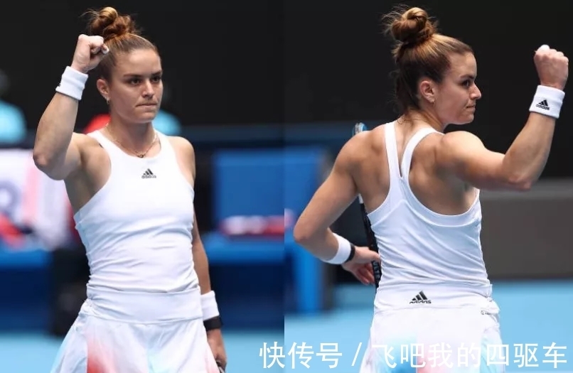 的体育文化 的体育文化