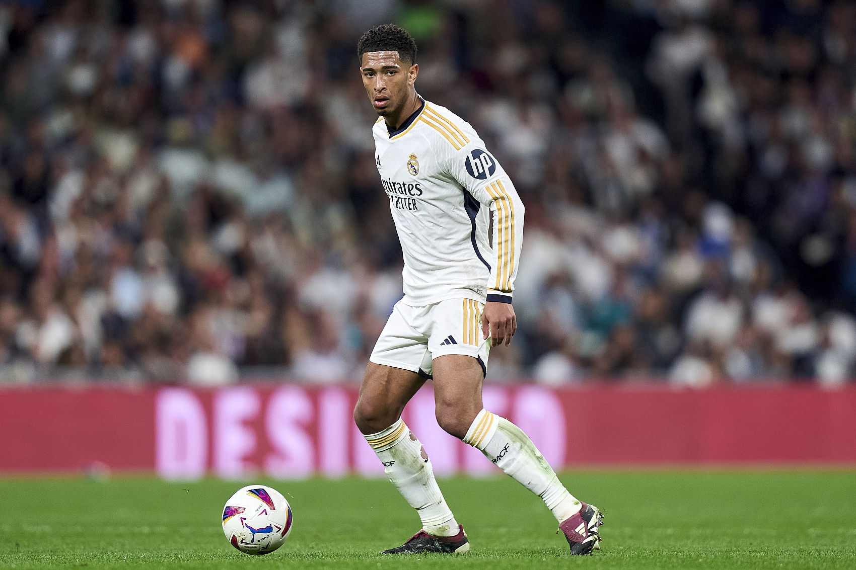 因为她已成 因为她已成