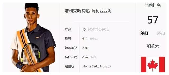 高尔夫球场 高尔夫球场